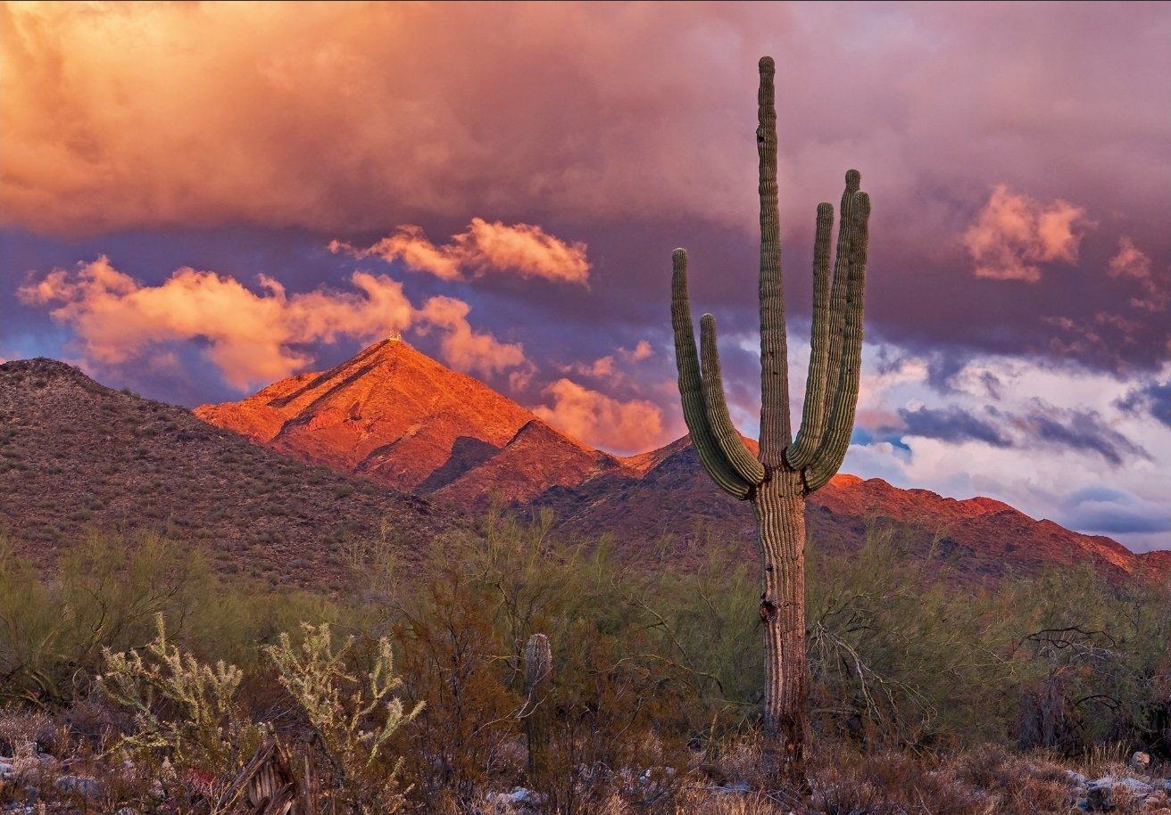 A saguaro at sunset below Thompson Peak in the McDowell Sonoran Preserve, the peak glowing orange under dramatic evening clouds